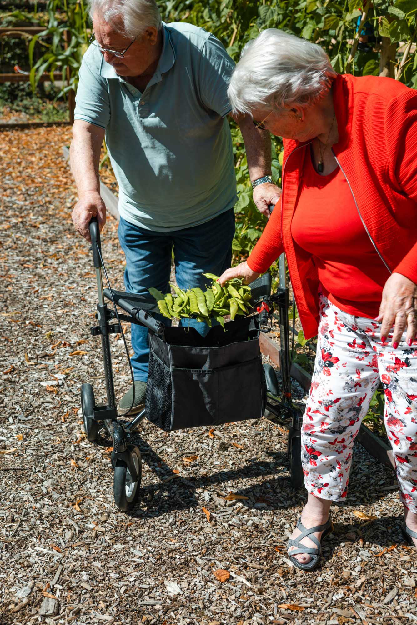 Samen oogsten in de moestuin