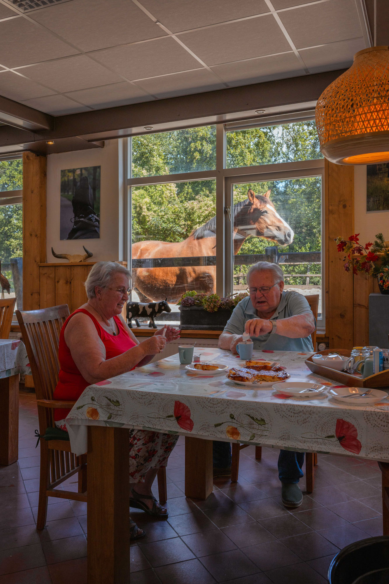 Koffie drinken met uitzicht op de paarden