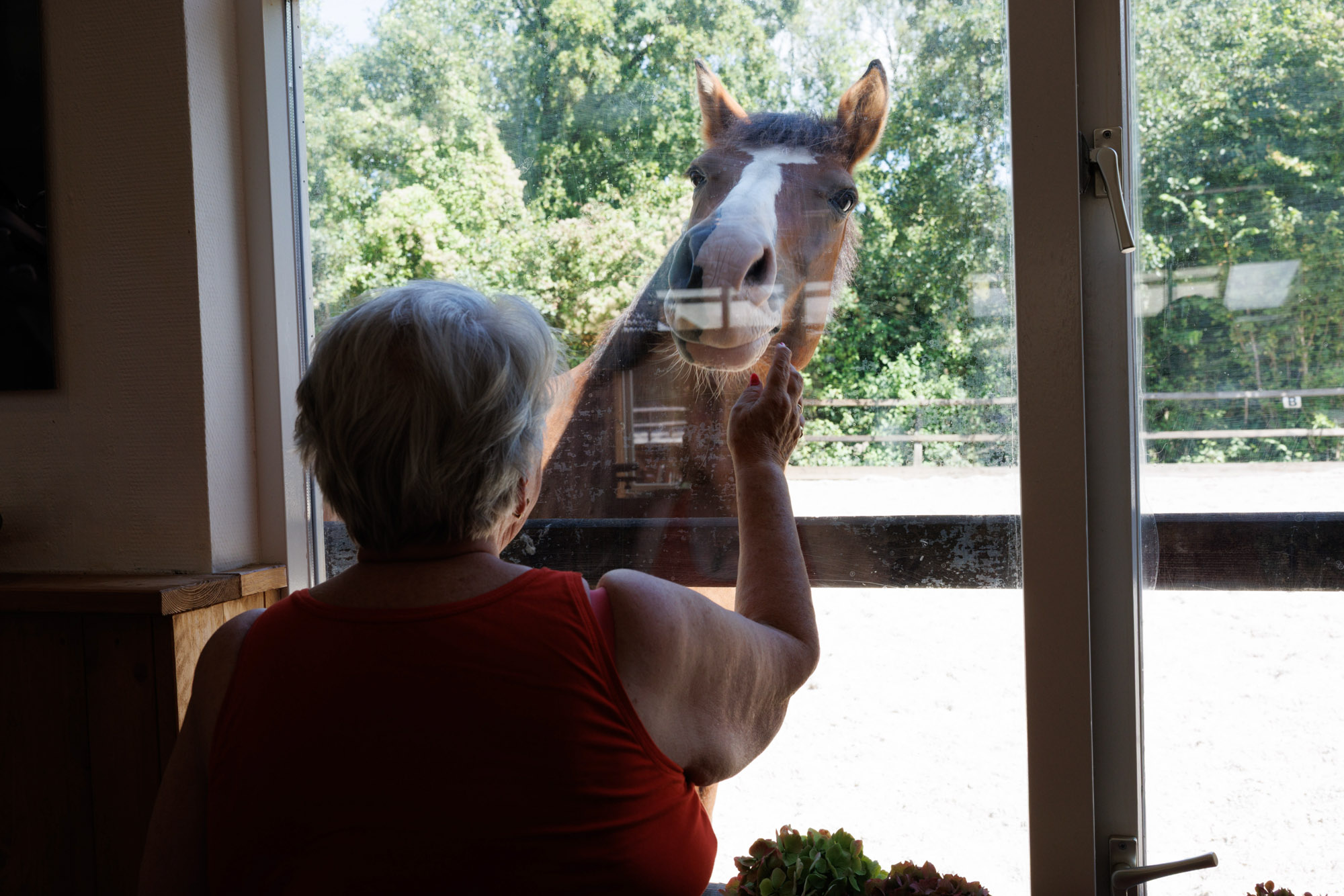Paard bezoekt de deelnemers