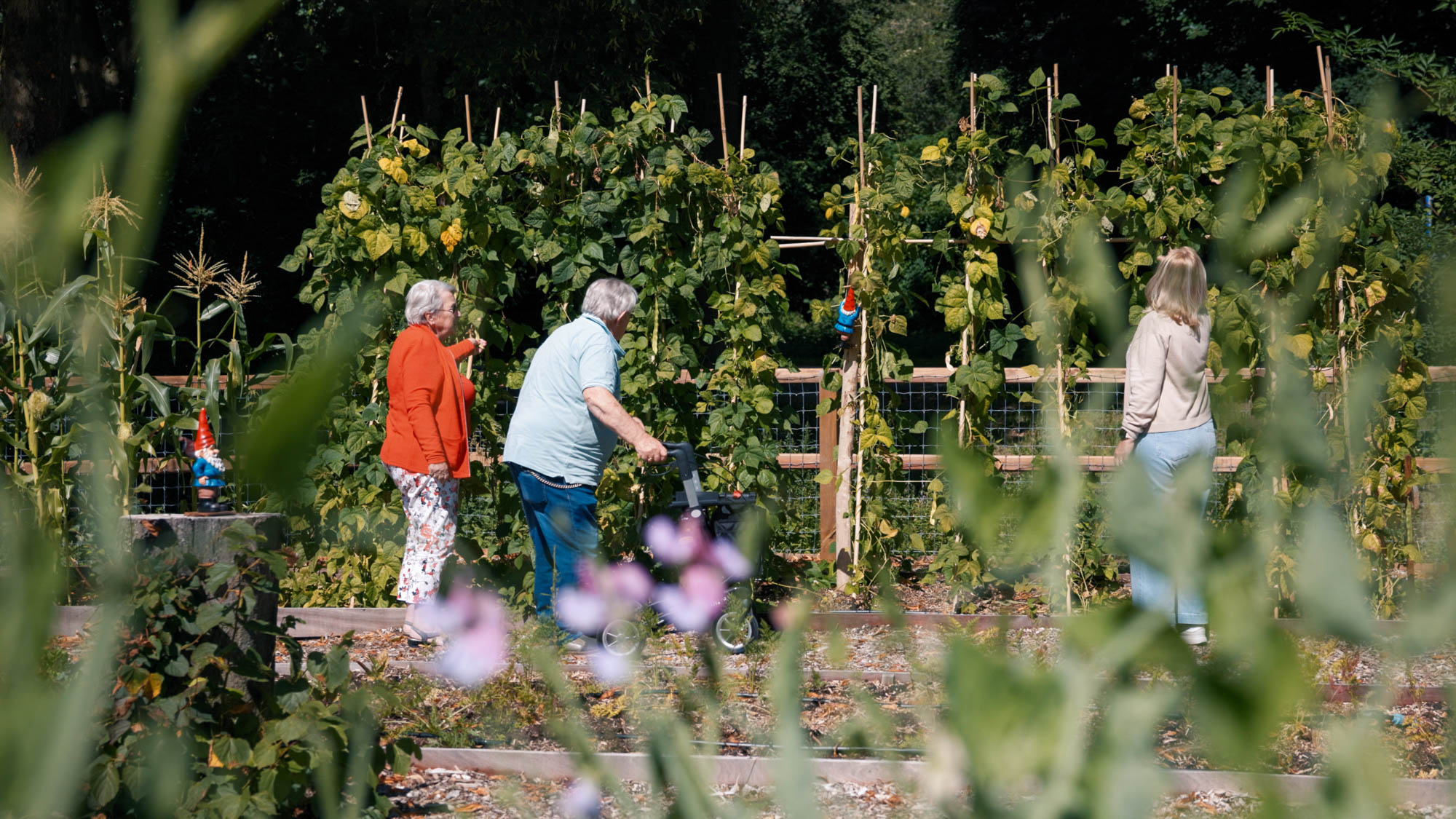 Samen wandelen in de moestuin